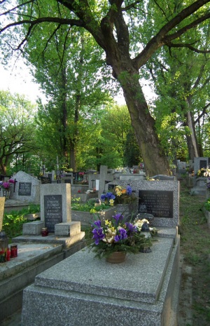 Grób Stefana Widerskiego na Cmentarzu Podgórskim
