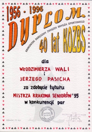 Mistrzostwa Krakowa 1995