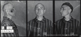 Fotografia obozowa Ferdynanda Pachnera nr 11810Informacja o więźniach Auschwitz.