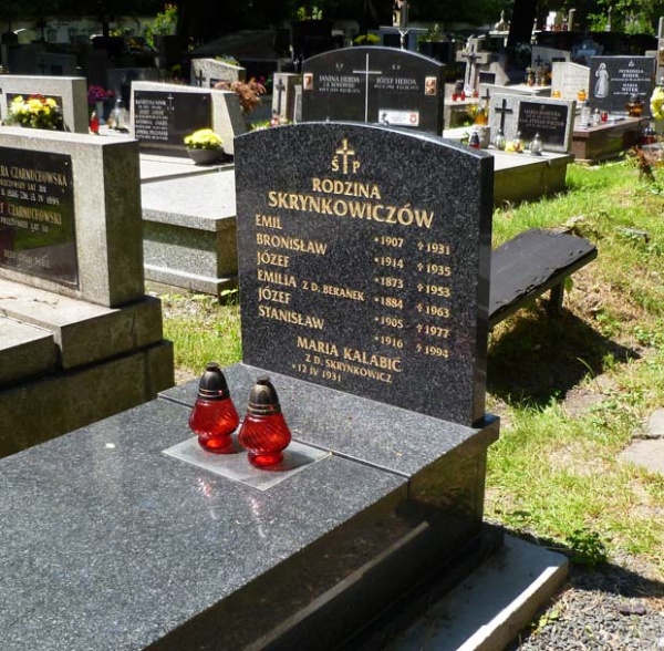 Grób Emila Skrynkowicza na Cmentarzu Rakowickim