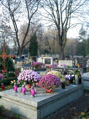 Grób Haliny Kaim na Cmentarzu Rakowickim