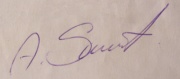 Autograf Sarnata